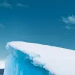 （友情岁月）