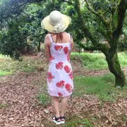如烟女人👩