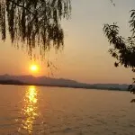微信_7968414