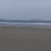 微信_9453774