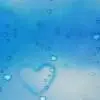 苏庆亮