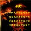星星pu