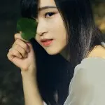 不见长安~