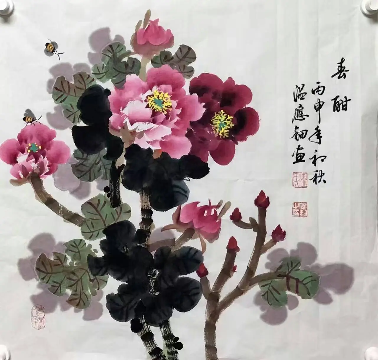 .▪.的图片
