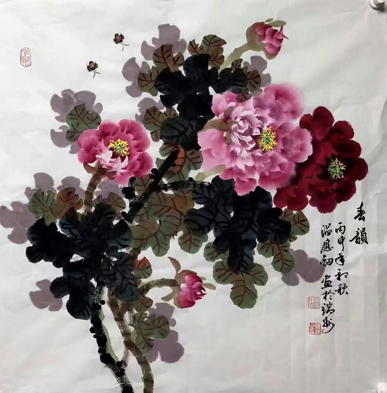 .▪.的图片