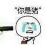 小甜瓜n