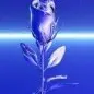 花开花落+