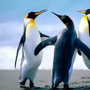 自我陶醉得不行