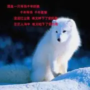 ♥@缘分$带你飞♥