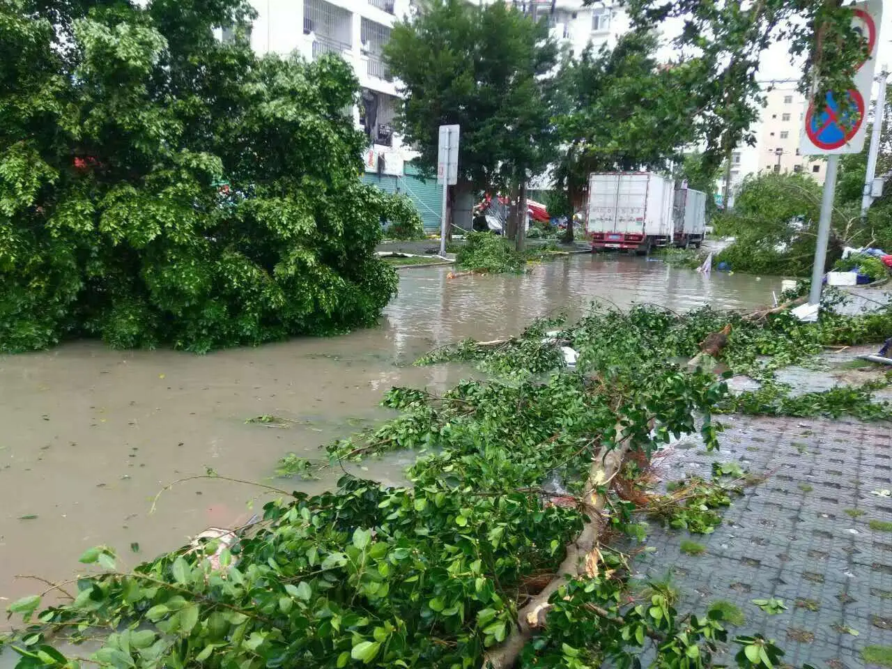 你把绝情给了动情地我的主播照片