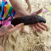 昵称违规，请重新修改