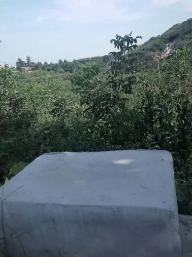 娱家正能量歌手子康的主播照片