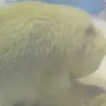 昵称违规，请重新修改