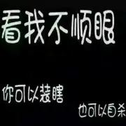 鹏晨哥