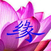 ☼❤寻你千佰度☪☺