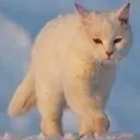 ☪妖涛.~～