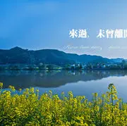 心有桃花源