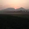 0000仙梅0000