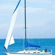 东北战队～飞天猫