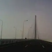 高兴为你分享