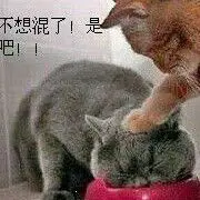 连发不如点射