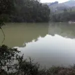夏日一丝凉风