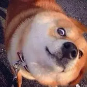 慢慢慢ぃ