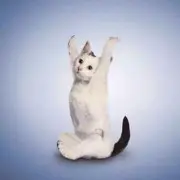 ❀①灬❤