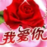 ⊙我爱你