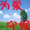 【为爱守候zi】
