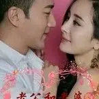 ╮维也纳╭