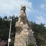 是我，