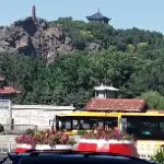 自由飞翔520