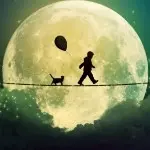我的我的，都是我的