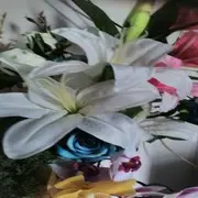 曹文会