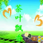 Dream茶叶之家