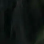 微信00785
