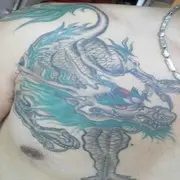 坚持hx
