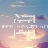 晨光丶心飛