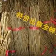 村村乐合作人