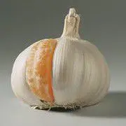 c64554