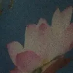 危天空发财