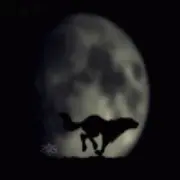 ~狼<