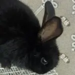♪仙er✿微笑♪