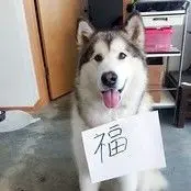 Only❤無心傷害