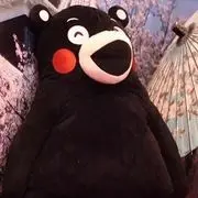 森森！
