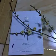 桃子如愿