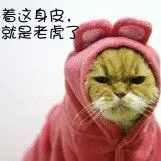 老虎v老虎v老虎
