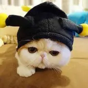 偽一人
