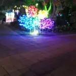 只在黑暗深渊看